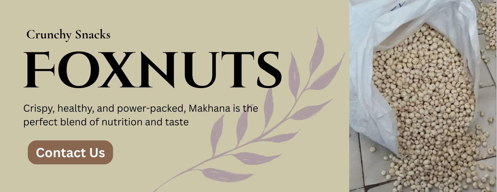 best cow dung cake in india (4)