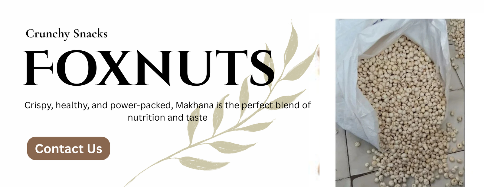 best cow dung cake in india (4)