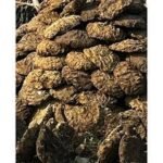 cow dung cake
